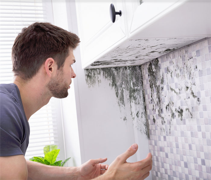 man looking at mold on a wall