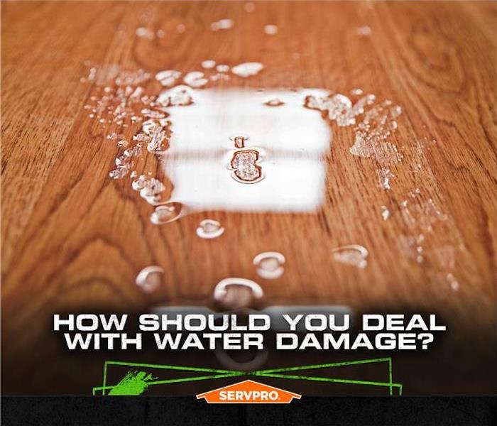 Water on a hardwood floor with the caption “how should you deal with water damage”